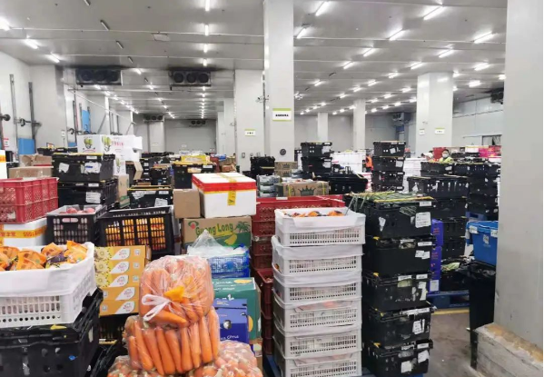 助力民生和医疗物资保供，HJC黄金城(中国大陆)官方入口抗疫救灾一直在线！